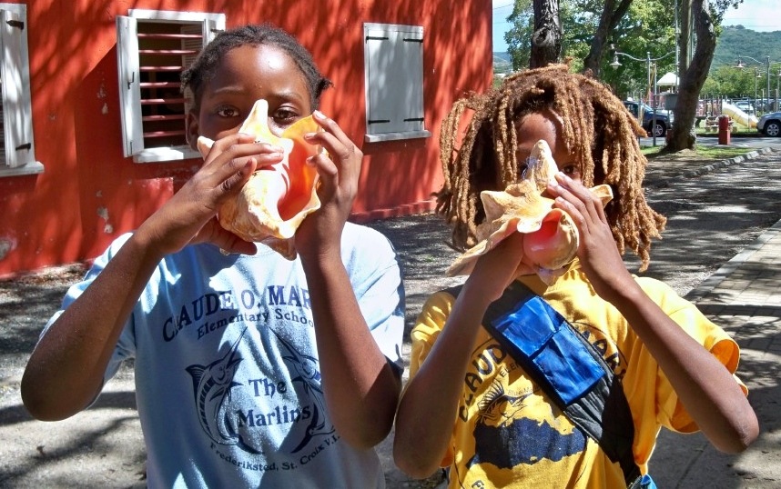 Claude O Markoe Students Learn About The Queen Conch St Croix Source